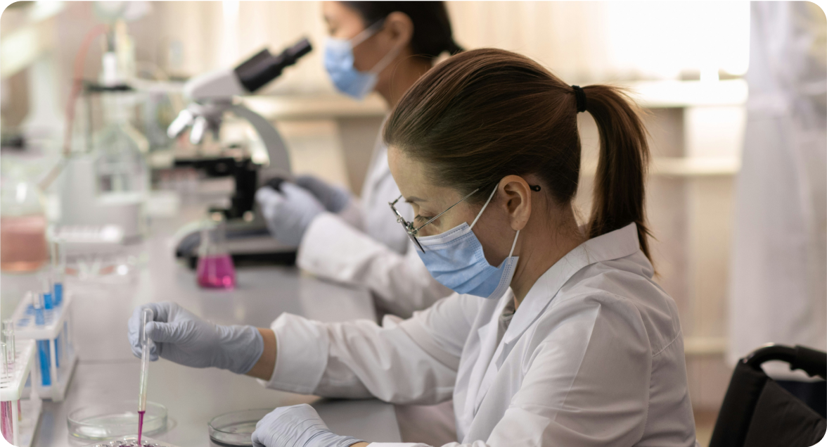 Grant application process step 2