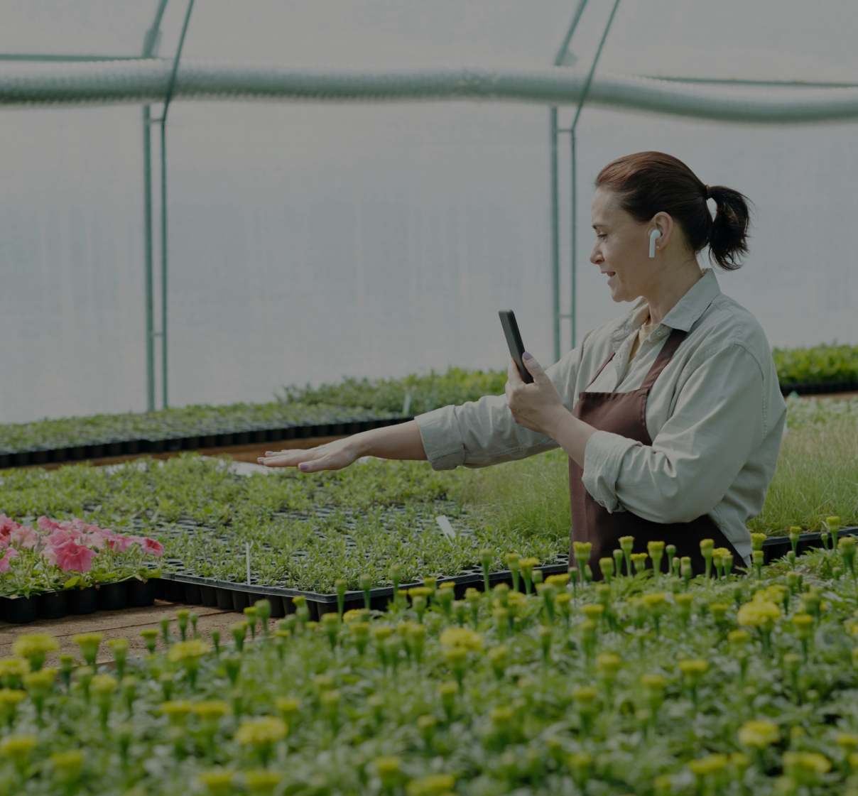 Our clients showcase